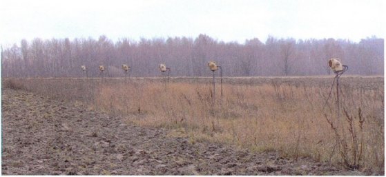 mil_items/DSC021 (2).jpg 31KB 